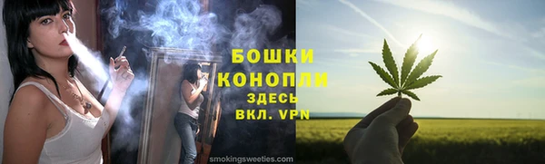 молекула духа Дмитриев